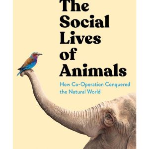 The Social Lives of Animals: How Co-operation Conquered the Natural World by Ashley Ward