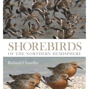 Shorebirds of the Northern Hemisphere by Richard Chandler