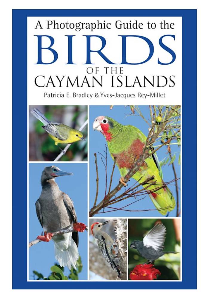 A Photographic Guide to the Birds of the Cayman Islands by Patricia E. Bradley