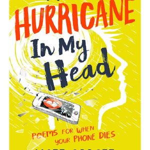 A Hurricane in my Head by Matt Abbott