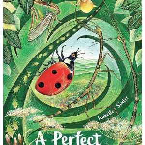 A Perfect Spot by Isabelle Simler