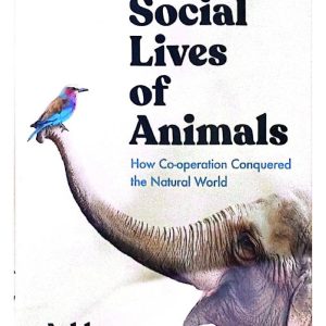 The Social Lives of Animals - How Co-Operation Conquered The Natural World