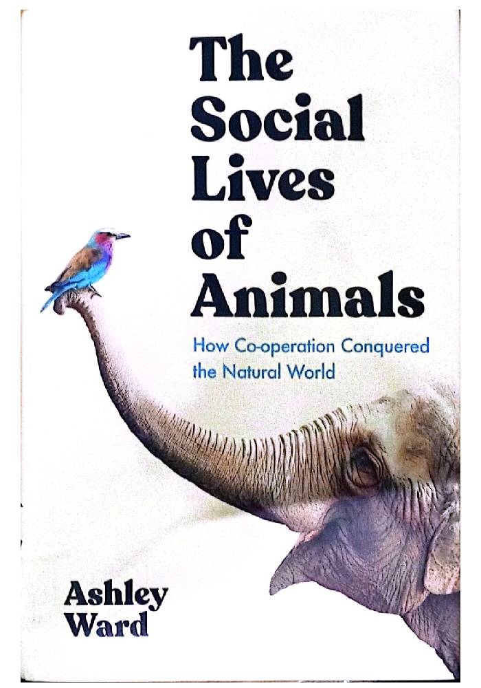 The Social Lives of Animals - How Co-Operation Conquered The Natural World